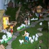 Biblicna ogled jaslic_015